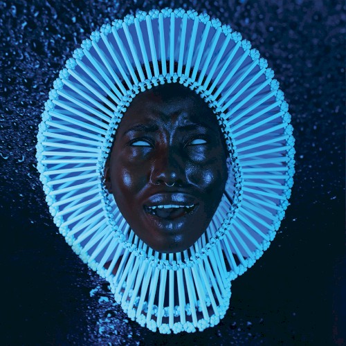 Awaken, My Love! album cover
